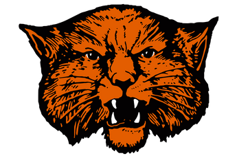 Wink-Wildcats - Görsel 2