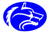 Wolfe-City-Wolves - Görsel 1