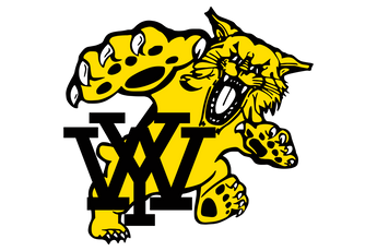 Yorktown-Wildcats - Görsel 1